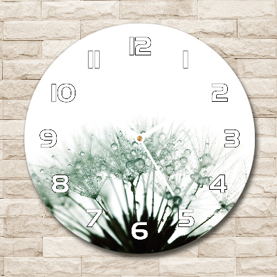 Ronde glas klok Paardenbloemzaden