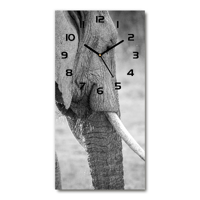 Rechthoekige glazen wandklok Olifant