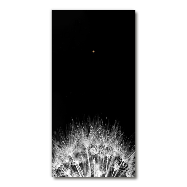 Zegar ścienny Nasiona dmuchawca