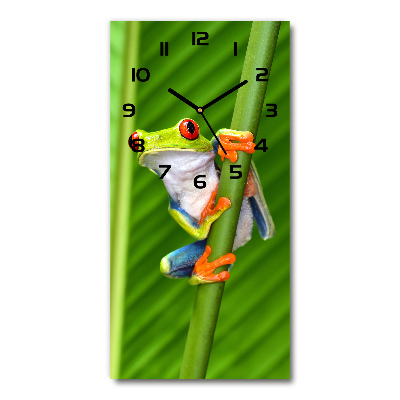 Zegar ścienny cichy Rzekotka drzewna