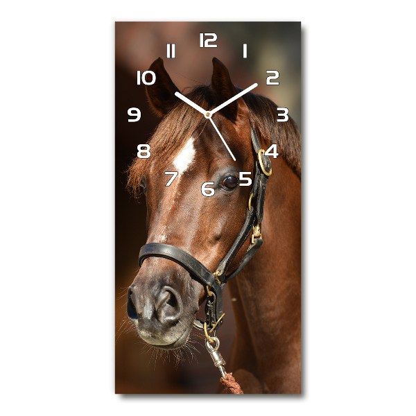 Rechthoekige glas klok Portret van een paard