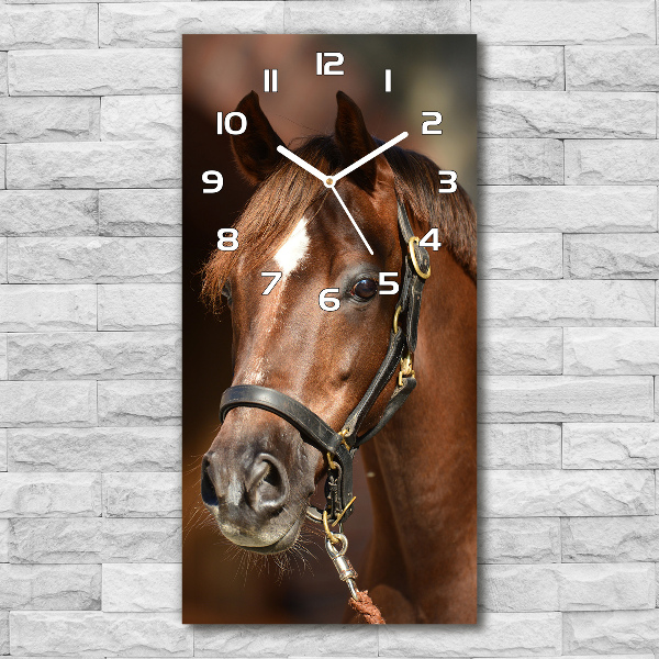 Rechthoekige glas klok Portret van een paard