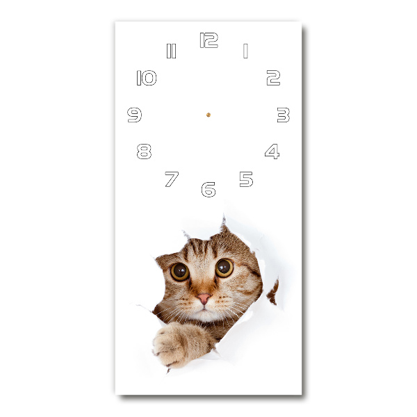 Glazen klok rechthoekige Kat