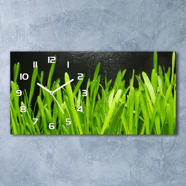 Glazen wandklok rechthoekig Gras