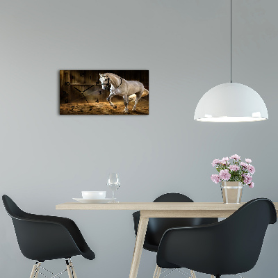 Glazen klok horizontaal Wit paard in de stal