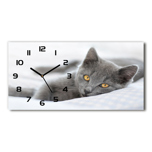 Glazen wandklok rechthoekig Grijze kat