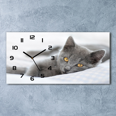 Glazen wandklok rechthoekig Grijze kat