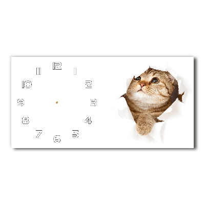 Glazen wandklok rechthoekig Kat