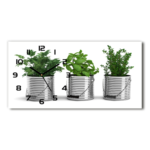 Glazen klok horizontaal Aromatische planten