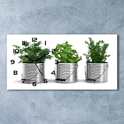 Zegar ścienny szklany Aromatyczne rośliny