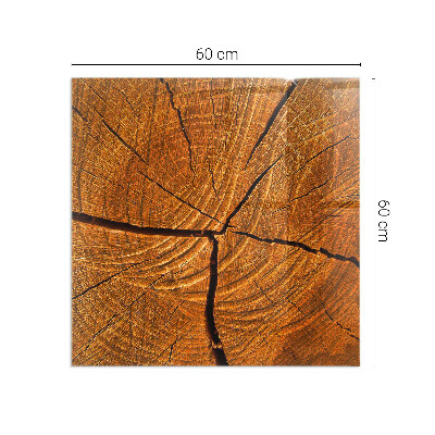 Plaat voor onder kachel Een dwarsdoorsnede van hout met een duidelijke nerf.