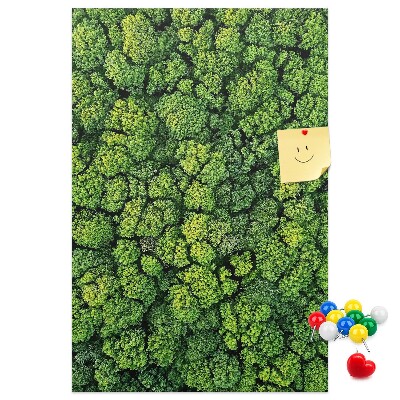 Prikbord van kurk met een afbeelding van een groen bos vanuit vogelperspectief