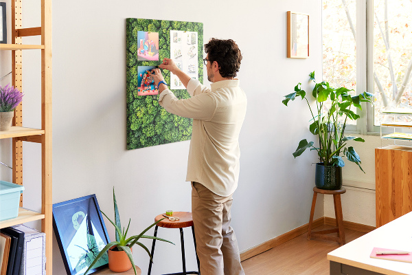Prikbord van kurk met een afbeelding van een groen bos vanuit vogelperspectief