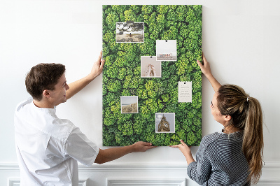 Prikbord van kurk met een afbeelding van een groen bos vanuit vogelperspectief