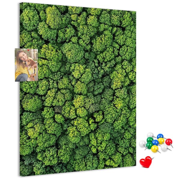 Prikbord van kurk met een afbeelding van een groen bos vanuit vogelperspectief