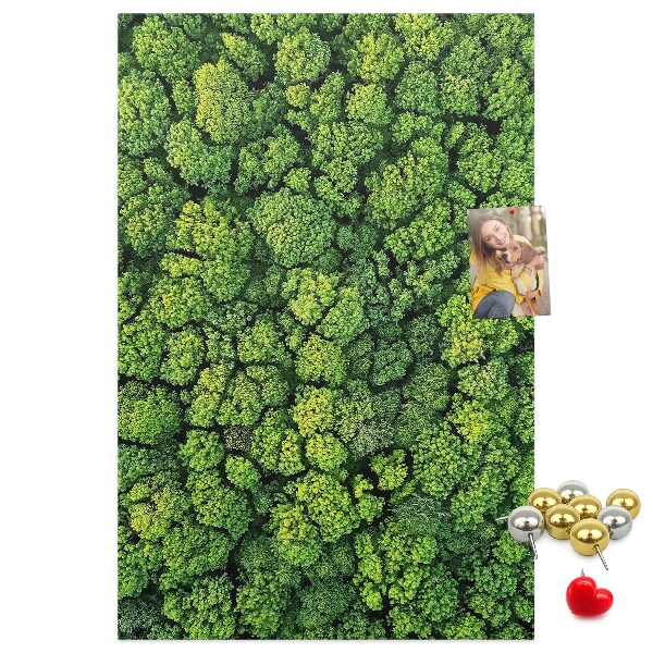 Prikbord van kurk met een afbeelding van een groen bos vanuit vogelperspectief