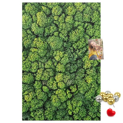 Prikbord van kurk met een afbeelding van een groen bos vanuit vogelperspectief