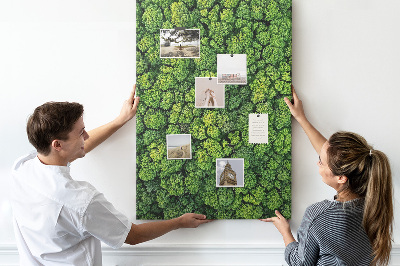 Prikbord van kurk met een afbeelding van een groen bos vanuit vogelperspectief