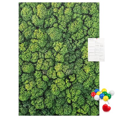 Prikbord van kurk met een afbeelding van een groen bos vanuit vogelperspectief