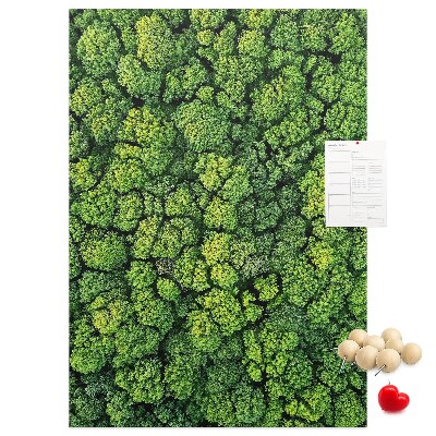 Prikbord van kurk met een afbeelding van een groen bos vanuit vogelperspectief