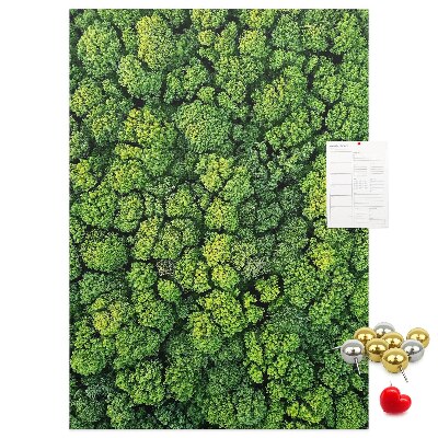 Prikbord van kurk met een afbeelding van een groen bos vanuit vogelperspectief
