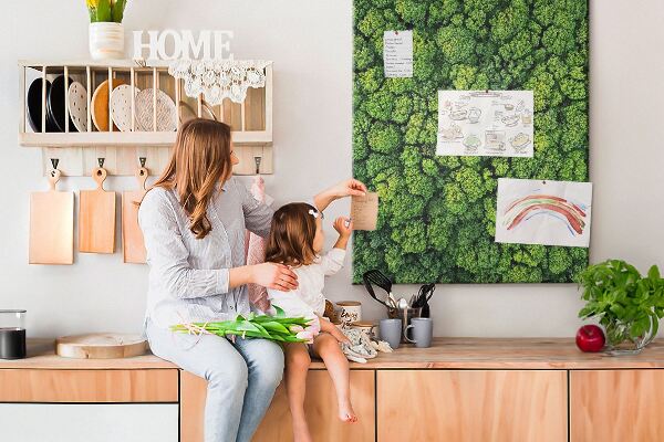 Prikbord van kurk met een afbeelding van een groen bos vanuit vogelperspectief