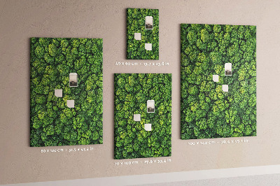 Prikbord van kurk met een afbeelding van een groen bos vanuit vogelperspectief