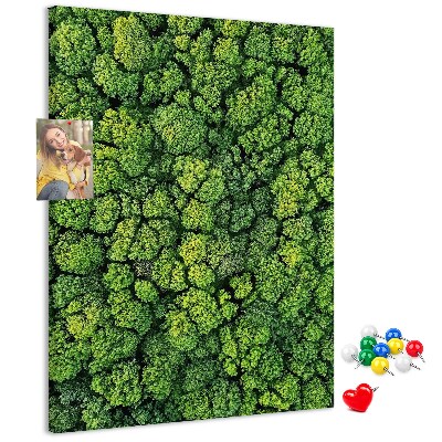 Prikbord van kurk met een afbeelding van een groen bos vanuit vogelperspectief