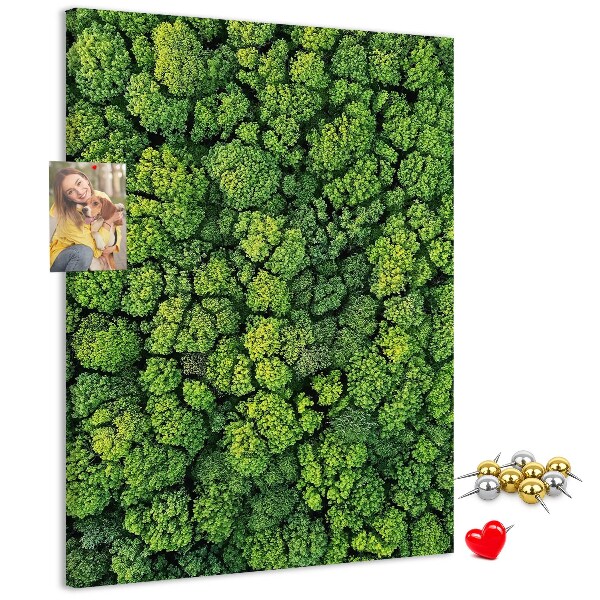 Prikbord van kurk met een afbeelding van een groen bos vanuit vogelperspectief