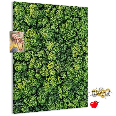 Prikbord van kurk met een afbeelding van een groen bos vanuit vogelperspectief