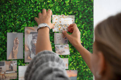 Kurk memobord met decoratieve groene bladeren
