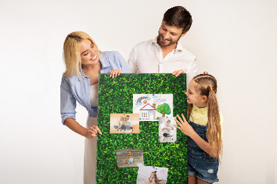 Kurk memobord met decoratieve groene bladeren