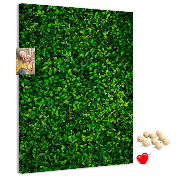 Kurk memobord met decoratieve groene bladeren