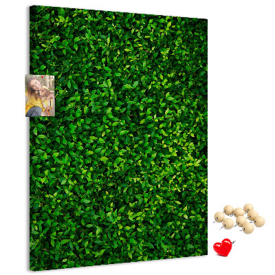 Kurk memobord met decoratieve groene bladeren