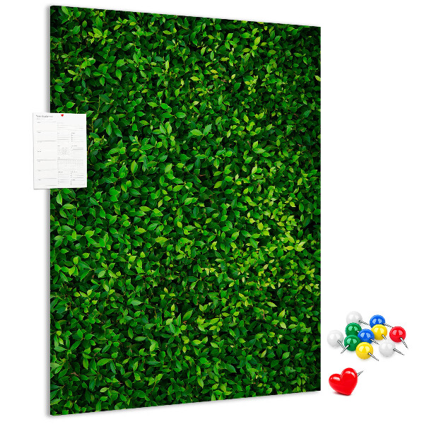 Kurk memobord met decoratieve groene bladeren