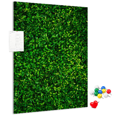 Kurk memobord met decoratieve groene bladeren