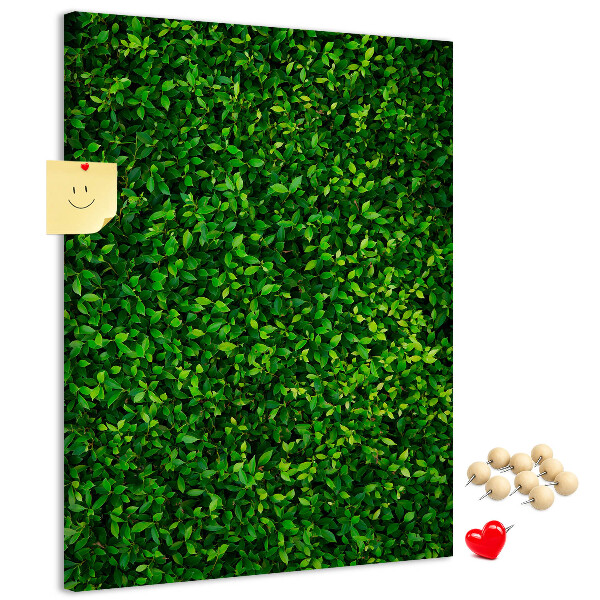 Kurk memobord met decoratieve groene bladeren