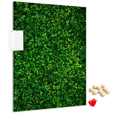 Kurk memobord met decoratieve groene bladeren