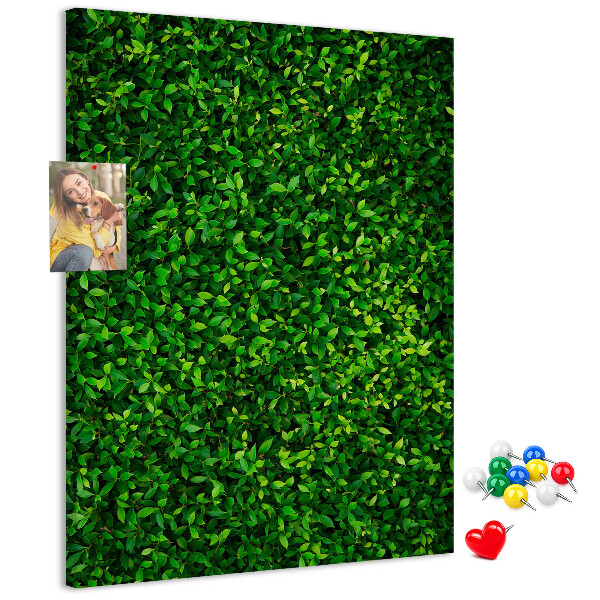 Kurk memobord met decoratieve groene bladeren