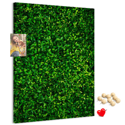 Kurk memobord met decoratieve groene bladeren