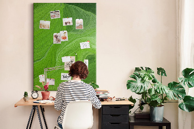 Kurk bedrukken met groene golven en delicate lijnen