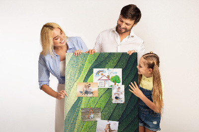 Memobord van kurk met een motief van groene bladeren in subtiele tinten