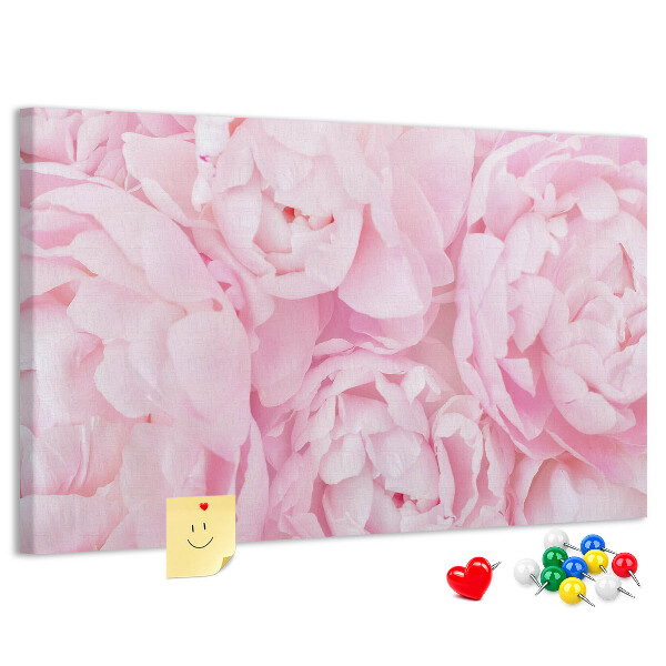 roze pioenrozen in een delicate tint
