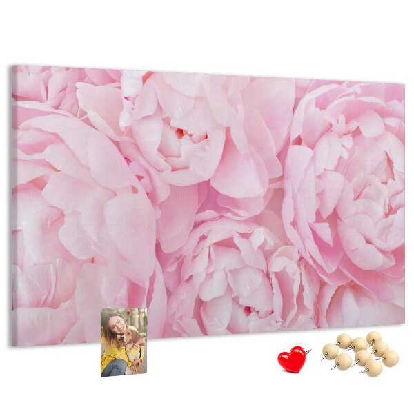 Kurk prikbord roze pioenrozen in een delicate tint