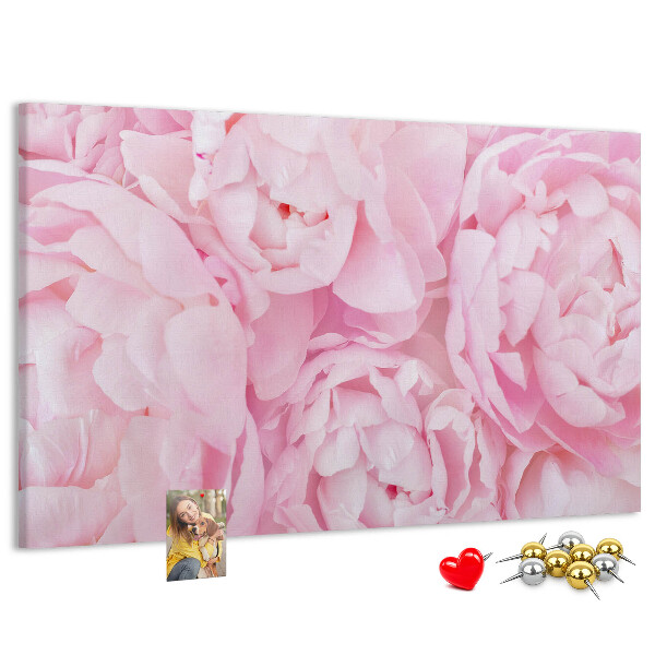 Kurk prikbord roze pioenrozen in een delicate tint