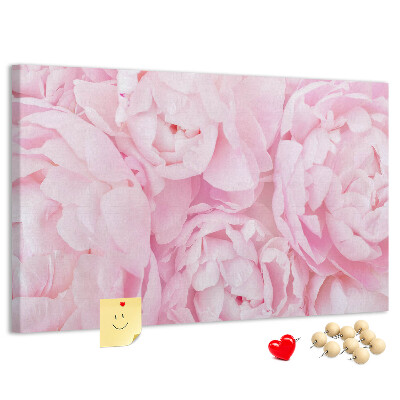 Kurk prikbord roze pioenrozen in een delicate tint