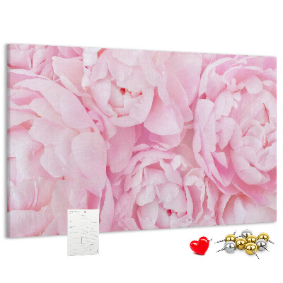 Kurk prikbord roze pioenrozen in een delicate tint