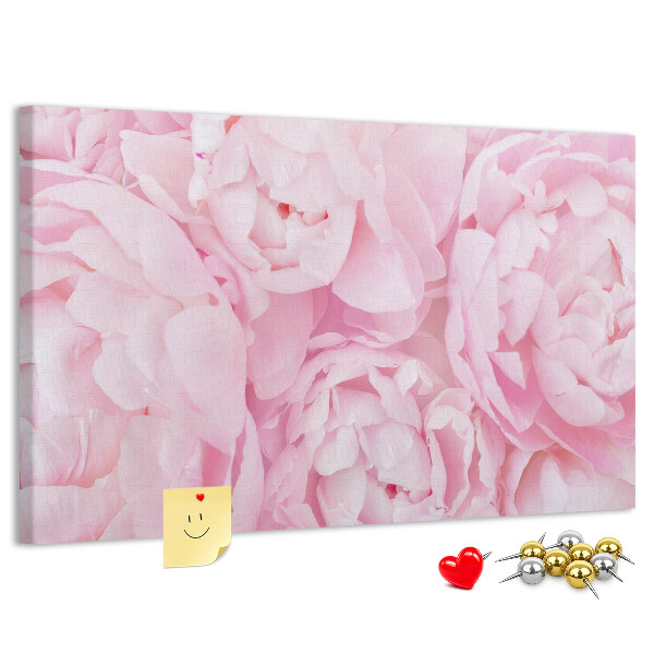 Kurk prikbord roze pioenrozen in een delicate tint