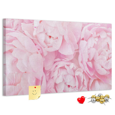 Kurk prikbord roze pioenrozen in een delicate tint