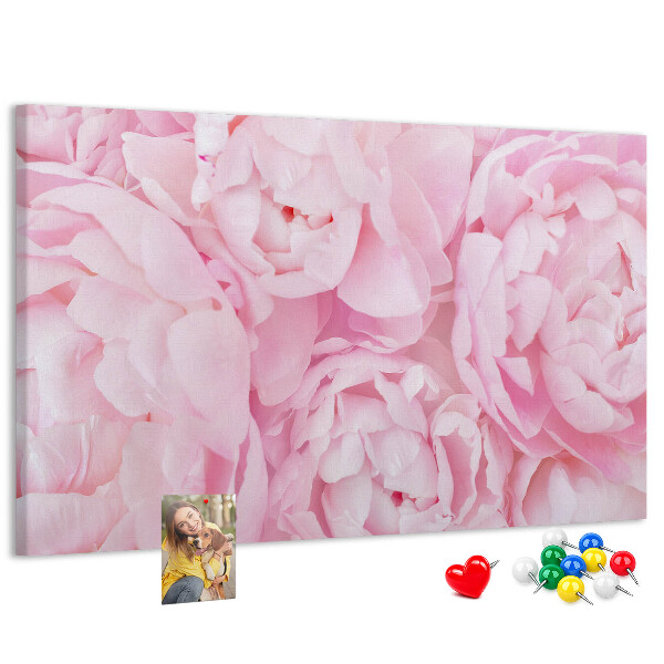 Kurk prikbord roze pioenrozen in een delicate tint